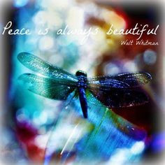 Inspiration, Quotes, Peace Dragonflies, Dragonflies Beautiful, Dragons ...