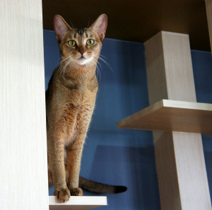 Displaying 18 Gallery Images For Selfies At The Gym/feed/rss2