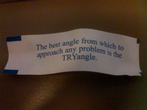 The best angle from which to approach any problem is the try angle.