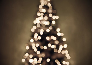 File:Christmas tree lights II.jpg
