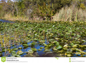 Funny Quotes Contact Dmca