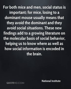For both mice and men social status is important for mice