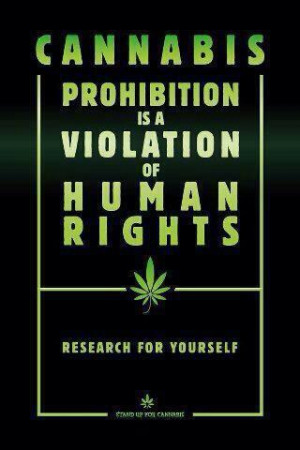 Cannabis Prohibition is a Violation of Human Rights