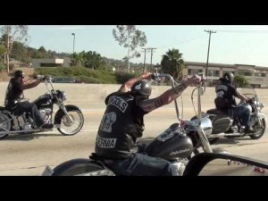 ... , Davidson Motorcycles, Biker Gang, Motorcycles Outlaw, Biker Stuff