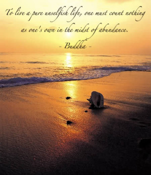 Love Quotes Beach Fall Yahoo