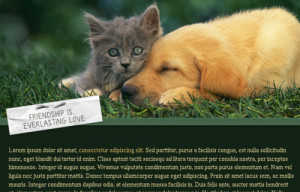 Dog And Cat Friendship Quotes Cat & dog friendship theme
