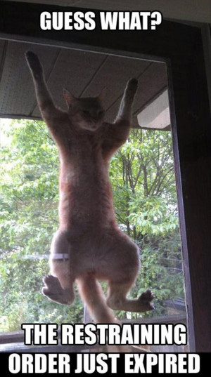 Attack Of The Funny Animals – 40 Pics