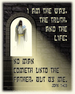 Onze dieren worden ook ingezet voor de fokkerij.