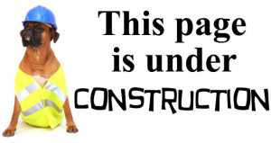 Under Construction Dog