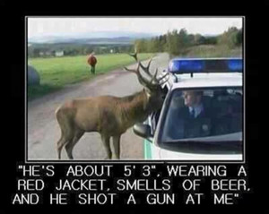Deer reporting illegal hunter. LOL