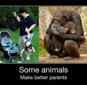 Better Parents.... animals?