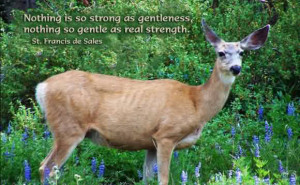 Nothing So Strong As Gentleness