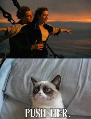 Grumpy Cat watches Titanic.