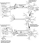 Revenge Quotes For Girls · Bella Hadid Style · Beaches The Movie ...