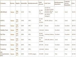 Pet Insurance Quotes Comparison Table