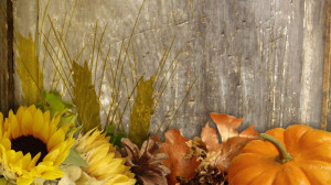 Fall Harvest Desktop Background - HD Wallpapers