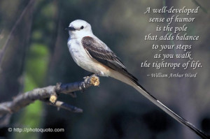 bird quotes, early bird quotes sayings
