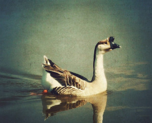 have things up my sleeve. But I am the opposite of a stage magician ...