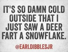 So Damn Cold Outside That I Just Saw A Deer Fart A Snowflake. #Funny ...