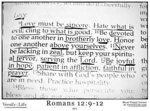romans bible verses about love