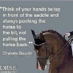 dressage #horse #equestrianism #quote #horsemanship