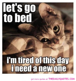 Cute Cats Pics Sayings