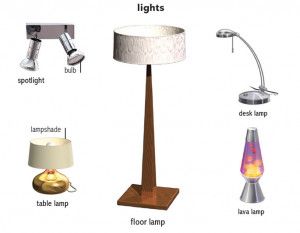 Light Bulb Lamp English Dictionary
