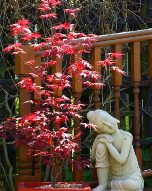 Photo by Sarniebill1