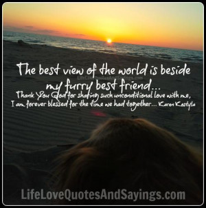 The best view of the world is beside my furry best friend…