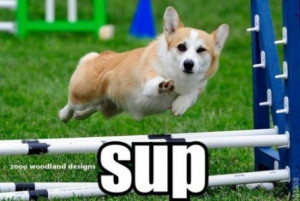 What’s up ? | funny-pics.co