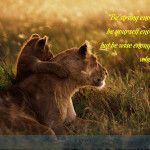 Mark Amend quotes | Inspirational Wallpaper Quote by Mark Amend