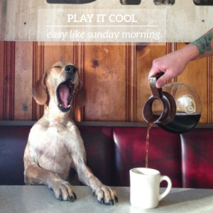 PLAY IT COOL: EASY LIKE SUNDAY MORNING