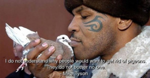 Mike tyson best quotes sayings inspiring about pigeons famous