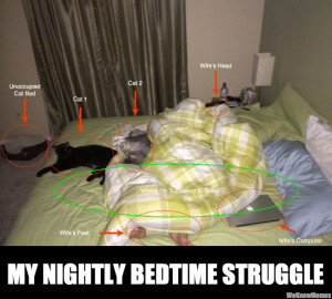 my nightly bedtime struggle