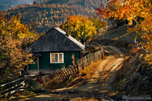 Cozy autumn shack