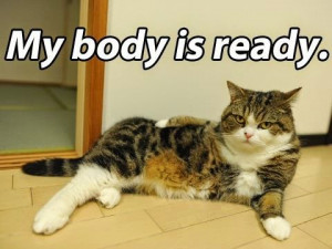 my body is ready - Cat