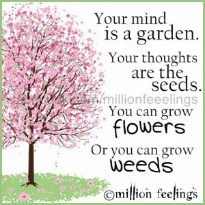 Planting seeds in your mind