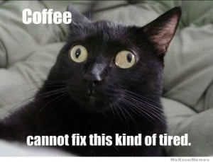 Coffee cannot fix this kind of tired – derp cat