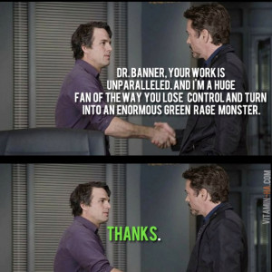 Bruce Banner & Tony Stark Meet In The Avengers Picture Quote