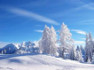 Skiing, Snowflakes and Winter Quotes, Sayings and Fun Facts