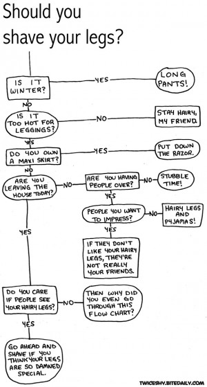 Posted by Debra Ann Elliott at8:53 PM Tuesday, February 15, 2011