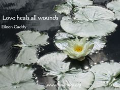 Love heals all wounds - Eileen Caddy