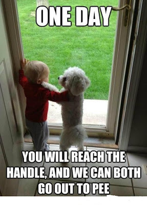 Funny Friendship Qoute Image