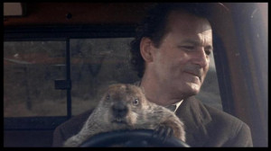 poster pictures 4 poster pictures of groundhog day 1993
