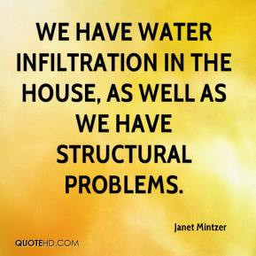 Janet Mintzer - We have water infiltration in the house, as well as we ...