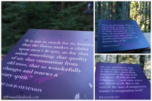 loved all these inspiring quotes about the trees along the boardwalk ...