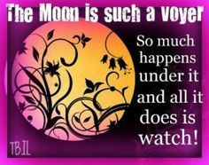 moon quote the bluebird is loose more moon quotes