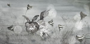 Black And White Rabbit With