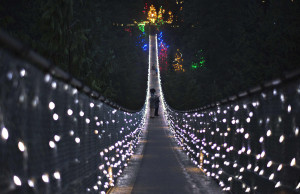 Visitors walk across the Capilano Suspension Bridge, decorated in ...