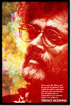 Details about TERENCE MCKENNA ART QUOTE PRINT PHOTO POSTER GIFT LSD ...